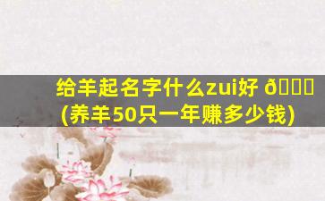 给羊起名字什么zui
好 🐕 (养羊50只一年赚多少钱)